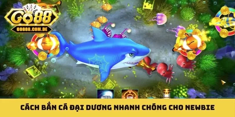 Cách bắn cá đại dương nhanh chóng cho newbie