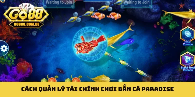 Bắn cá Paradise - Danh Sách Bí Quyết Thu 99% Lãi Ròng Cách quản lý tài chính chơi bắn cá Paradise