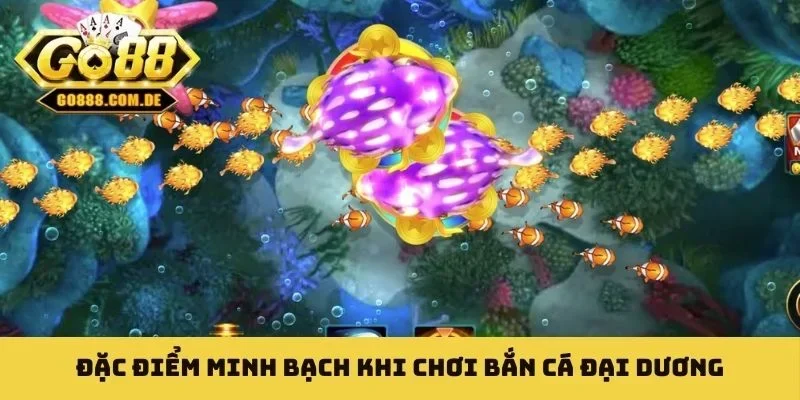 Đặc điểm minh bạch khi chơi bắn cá đại dương