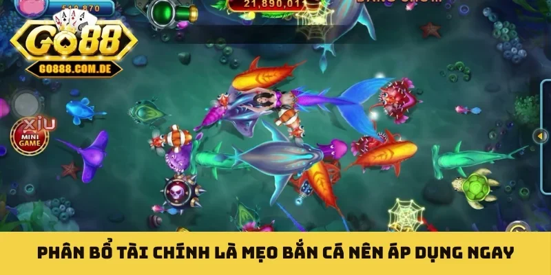 Mẹo Bắn Cá - Danh Sách Kinh Nghiệm Đúc Kết Từ Cao Thủ Phân bổ tài chính là mẹo bắn cá nên áp dụng ngay